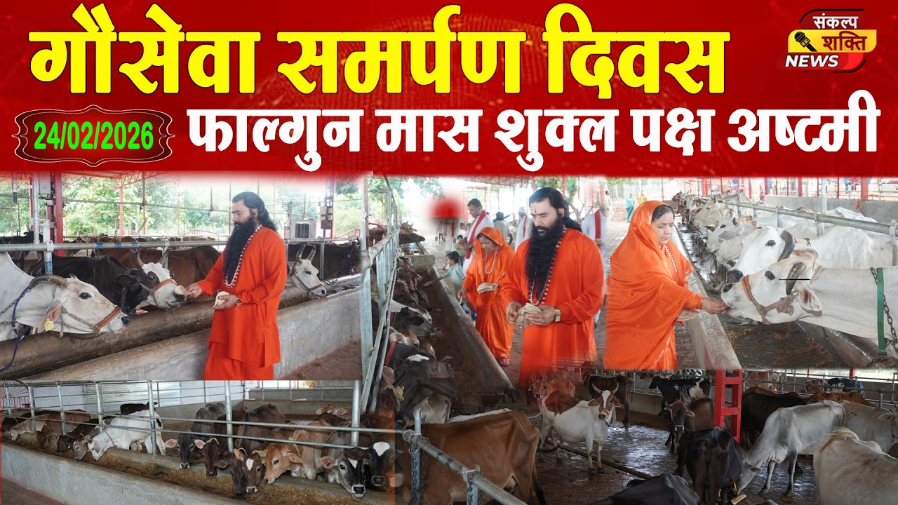 सिद्धाश्रम धाम में श्रद्धा के साथ मनाया गया गौसेवा समर्पण दिवस | Sankalp Shakti News
