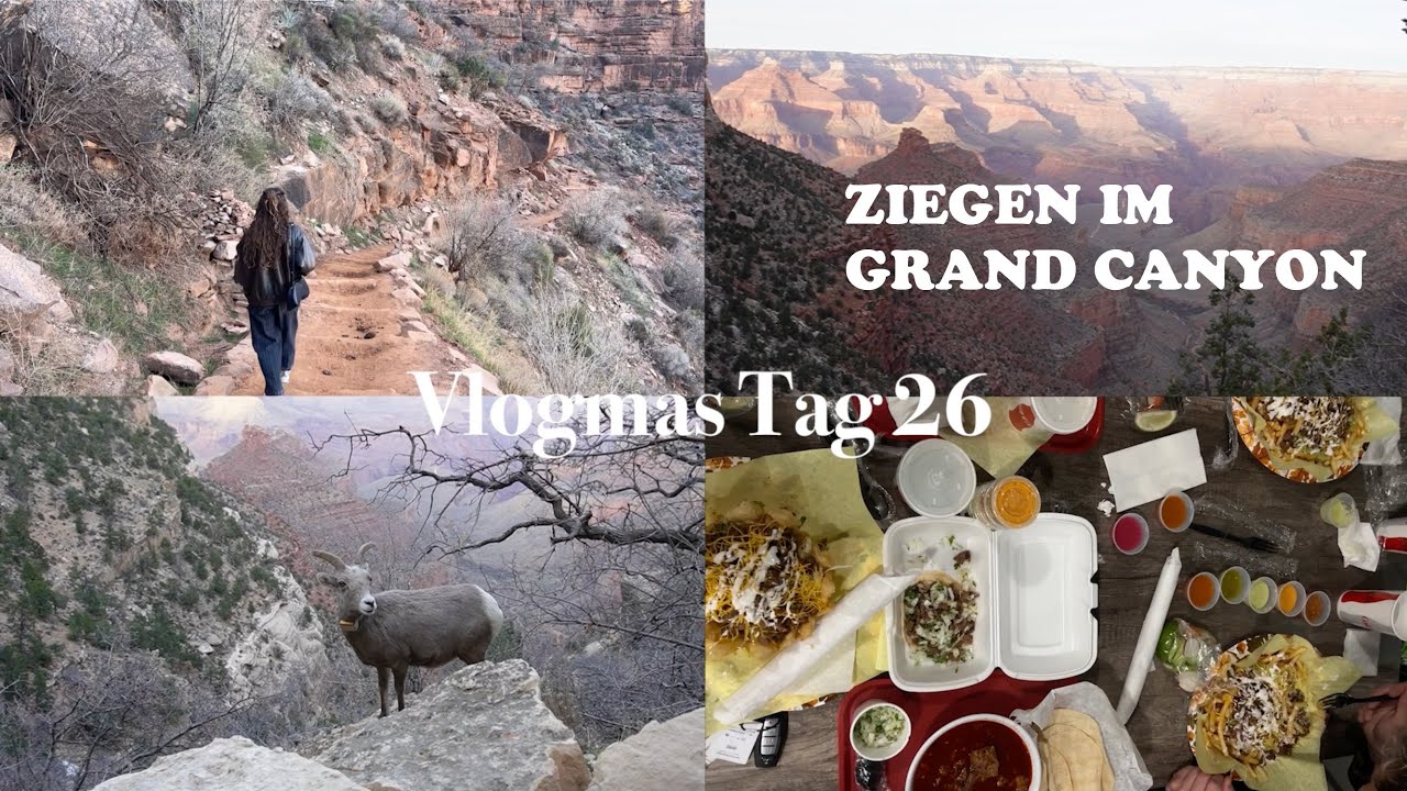 Vlogmas Tag 26 / Ausflug zum Grand Canyon