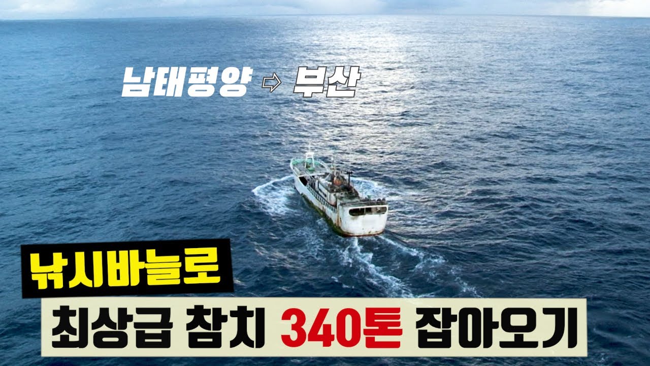150km짜리 낚싯줄에 바늘 4000개! 대물 참치 340톤 잡아오기 @흰국장