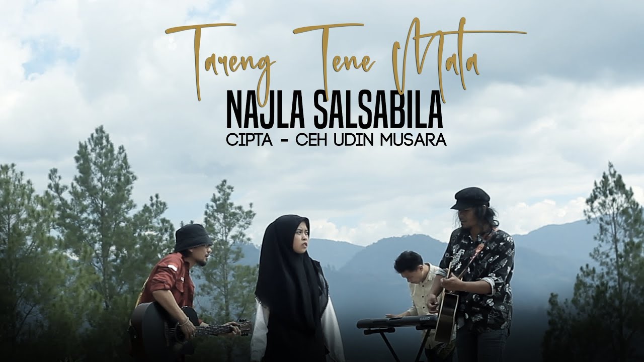 Lagu Gayo 2025 - Tareng Tene Mata - Najla Salsabila - Cipta Ceh Udin Musara