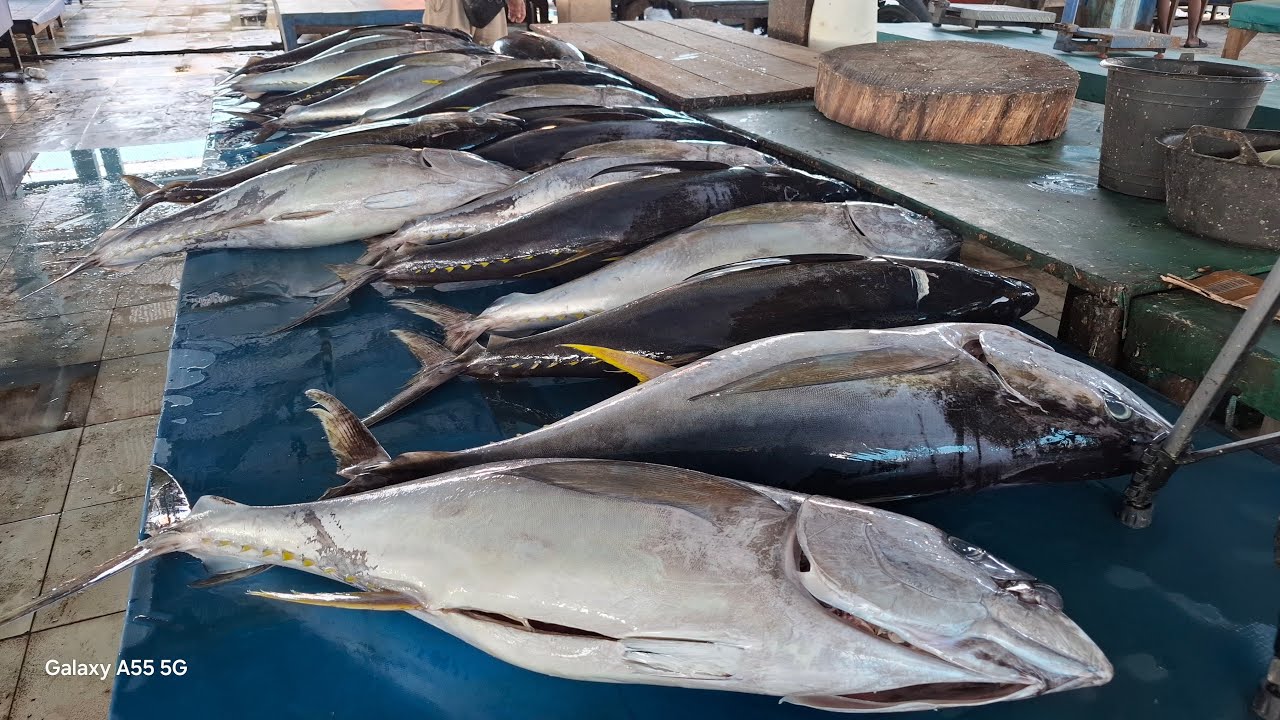 Keterampilan potong ikan tuna di pasar ikan jembatan Puri Sorong papua barat daya Indonesia