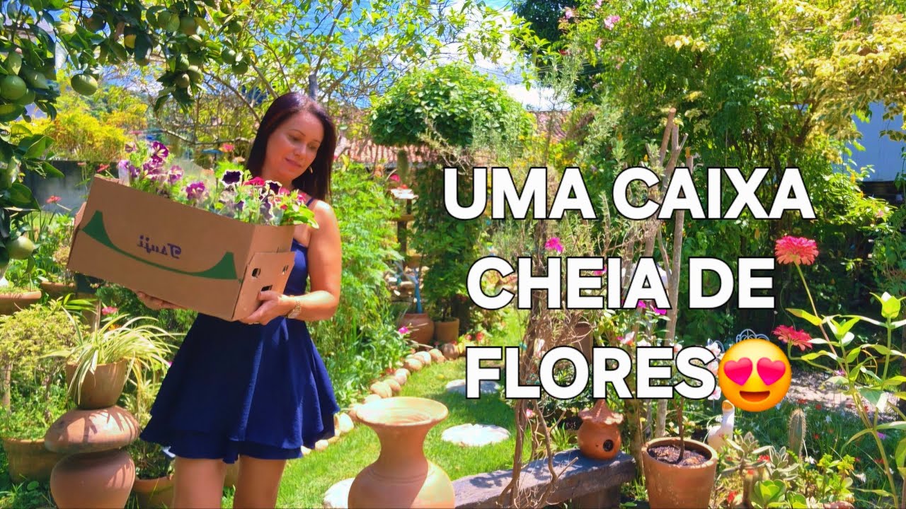 ELAS TRANSFORMAM QUALQUER AMBIENTE/TRAZEM ALEGRIA E VIDA PARA O JARDIM🥰😍