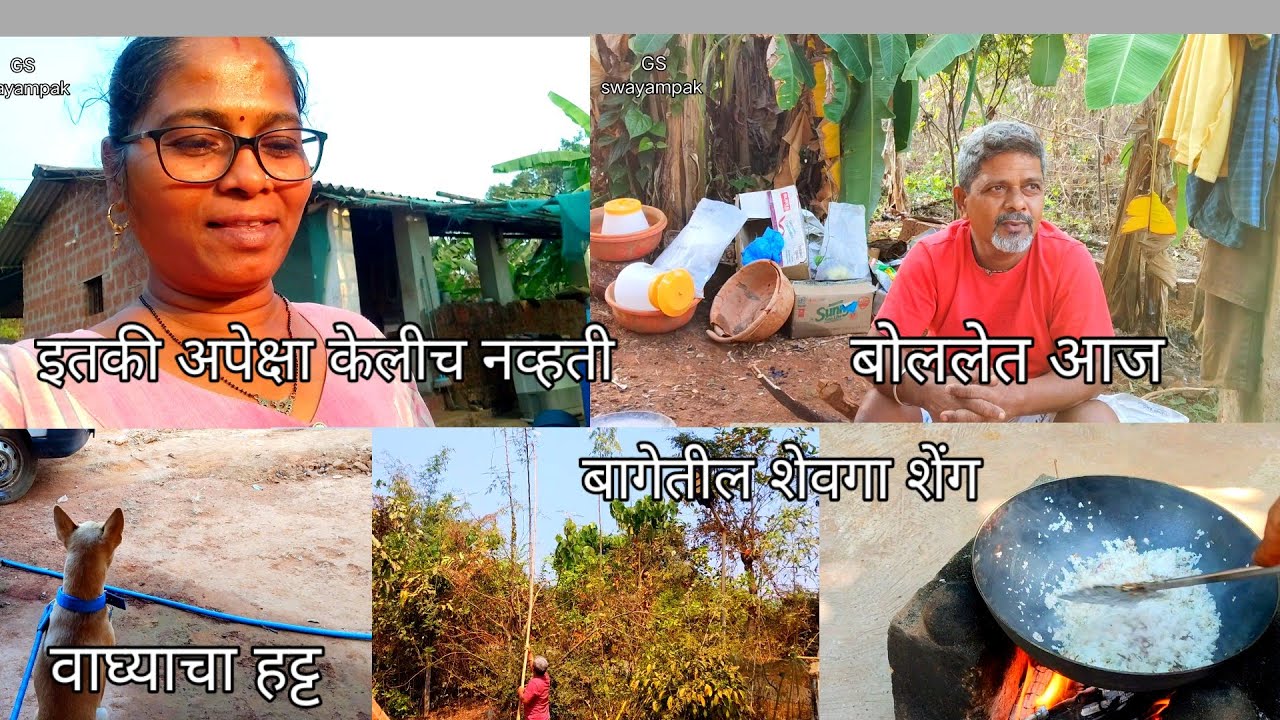 इतकी अपेक्षा केलीच नव्हती 🙆 बागेतील शेवगा शेंग काढून कोळंबी भाजी केली 😋#priyapawar #familyvlog 