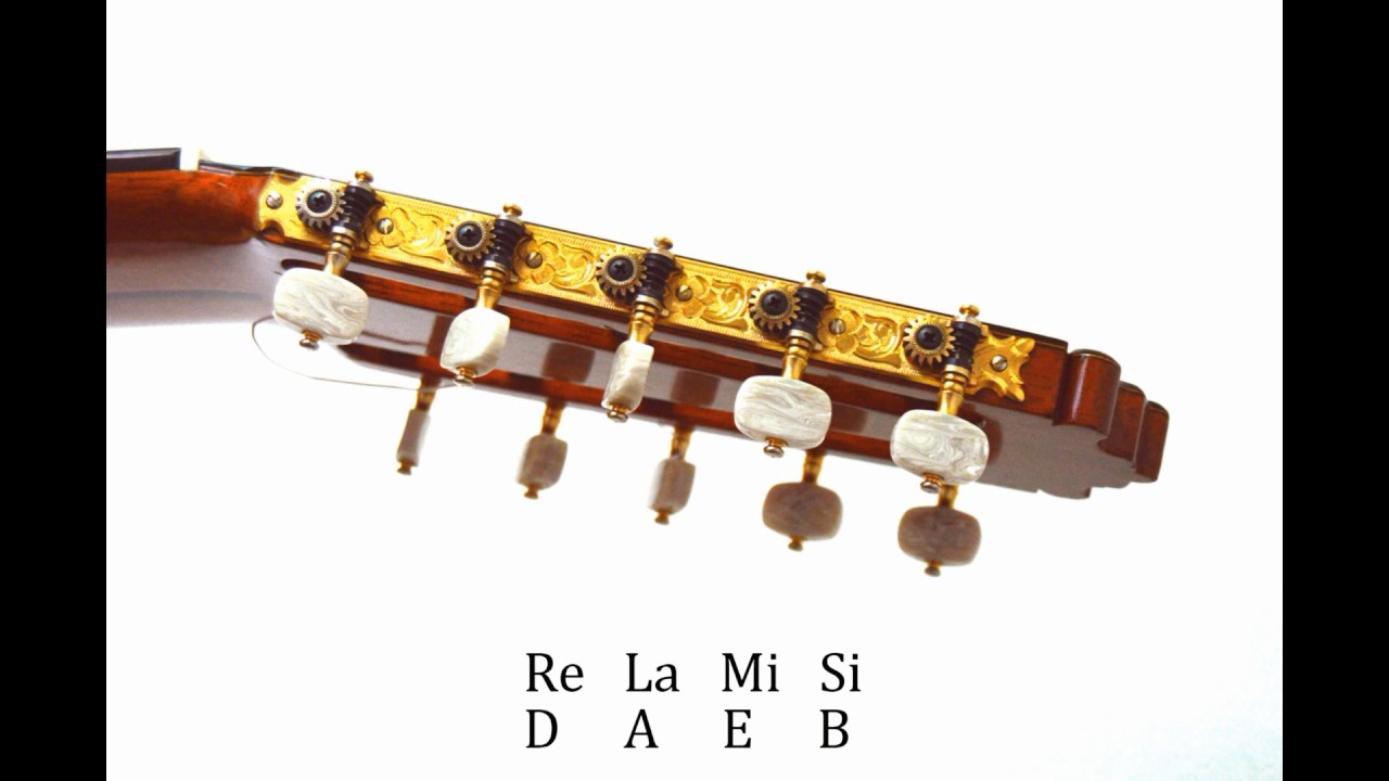 01   Breve Intro Ten String Guitar / Yepes - Guitar