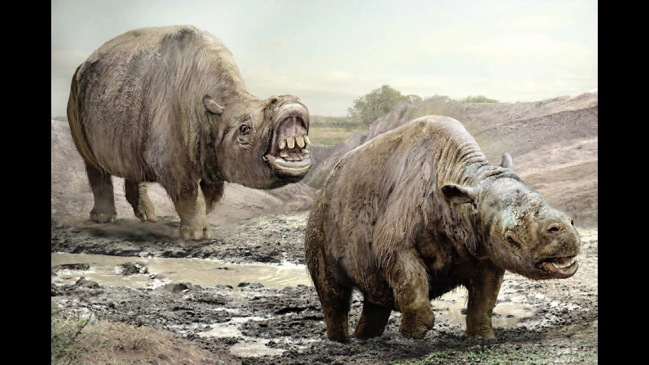 Notoungulates: South America's Unique Herbivores