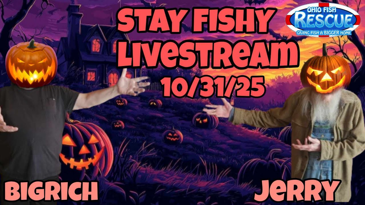 Stay Fishy Friday livestream  10/31/25