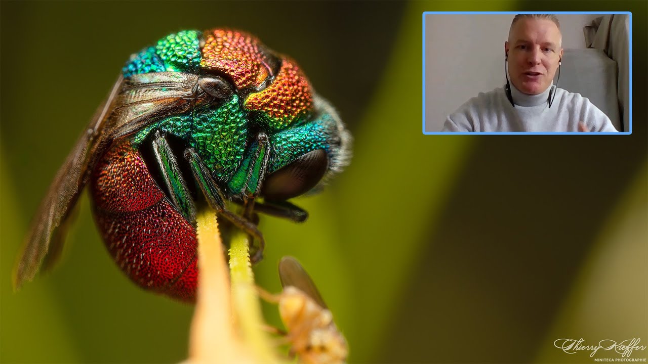 Les différentes techniques de la macrophotographie - Thierry Kieffer