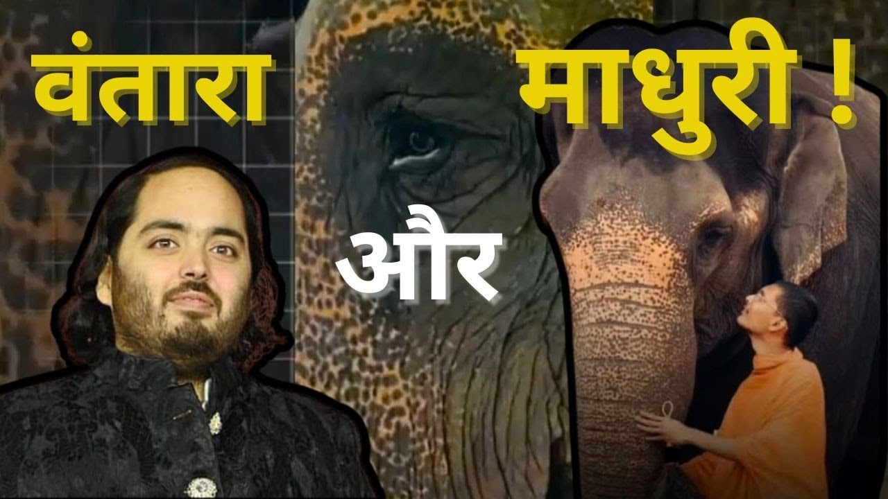 madhuri elephant Mahadevi transfer | जैन मठ की हथिनी महादेवी माधुरी और अंबानी का वनतारा