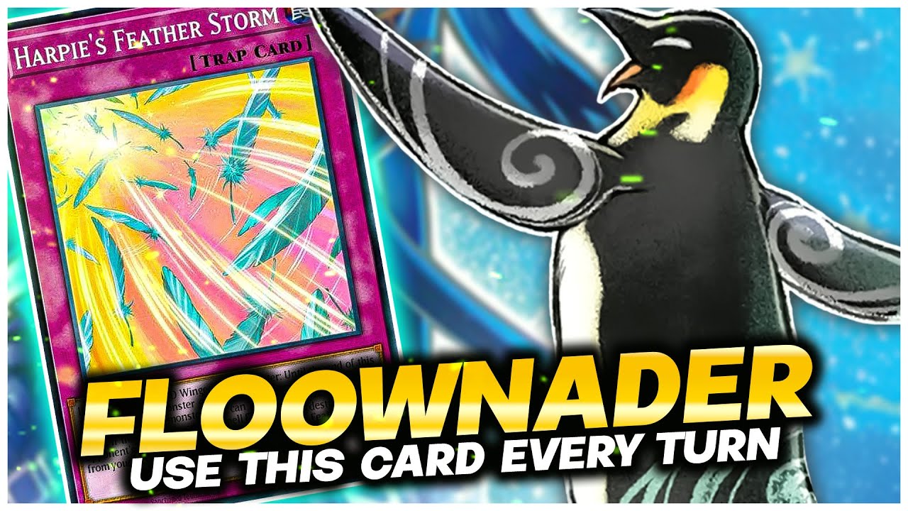 Negate All Monster Effect Every Turn | Floowandereeze Combo #yugioh #yugiohcombo #floowandereeze