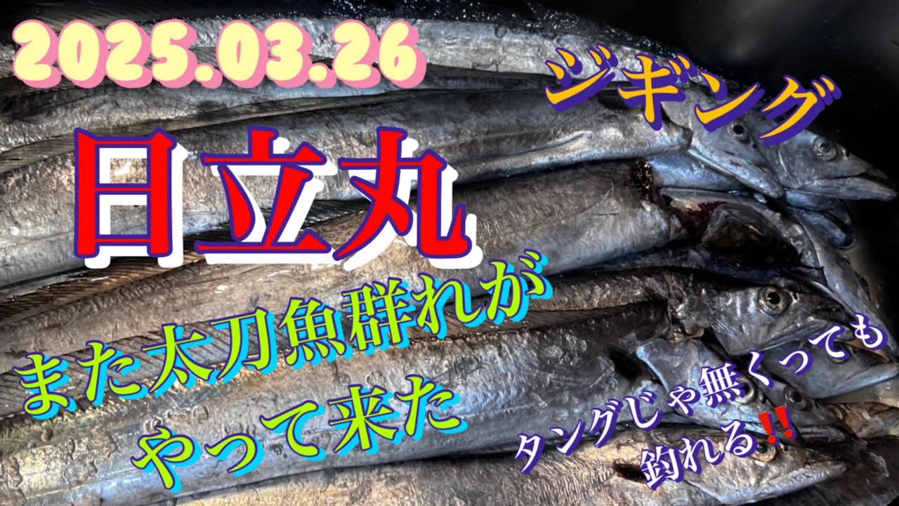 2025.03.26日立丸　また太刀魚群れ入って来たぞー