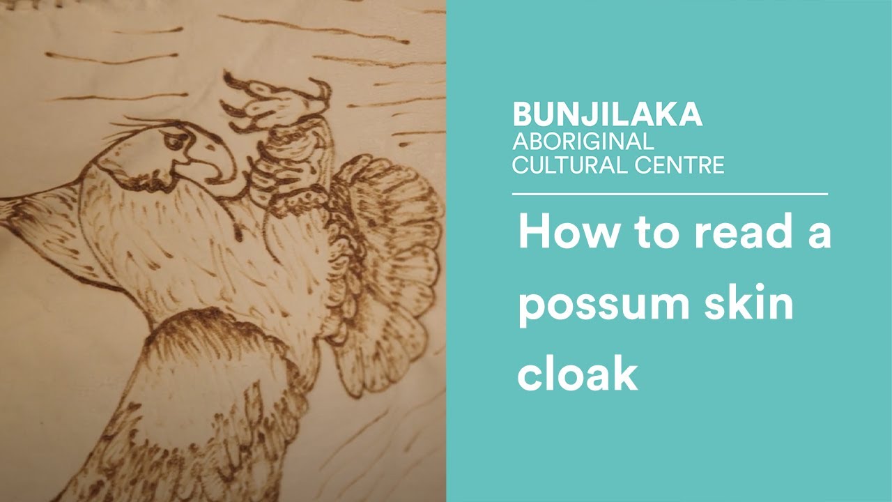 How to read a possum skin cloak
