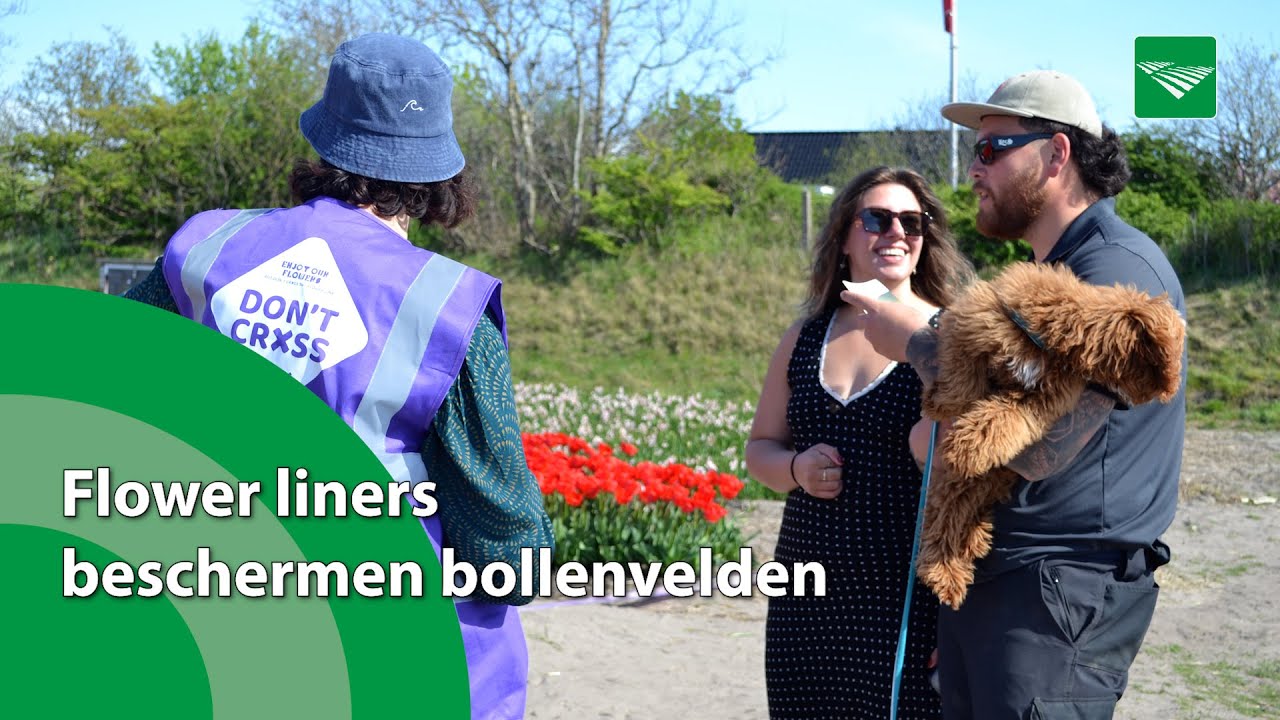 Flower liners beschermen bollenvelden