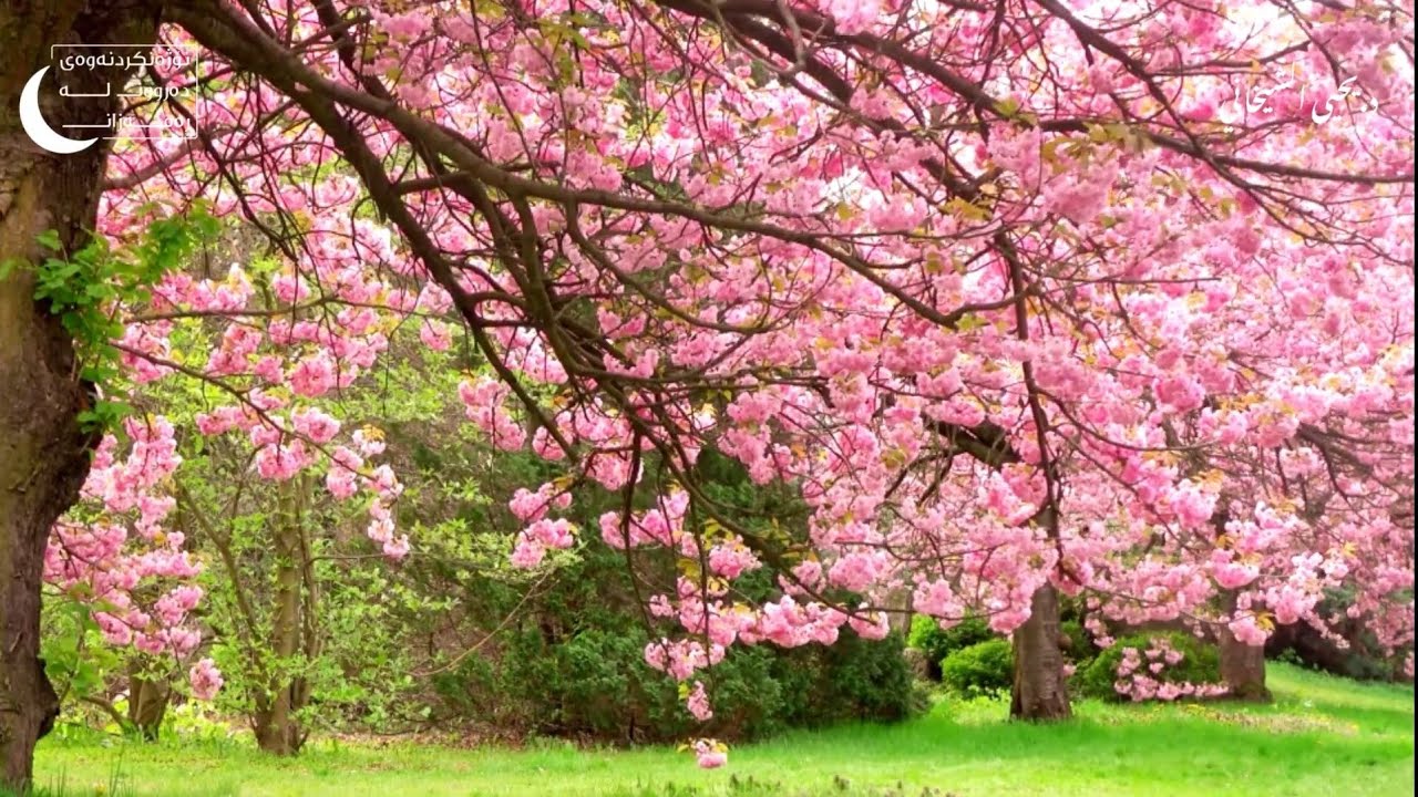 چۆن هەموو ژیانت دەگۆڕیت لە ڕەمەزاندا ؟