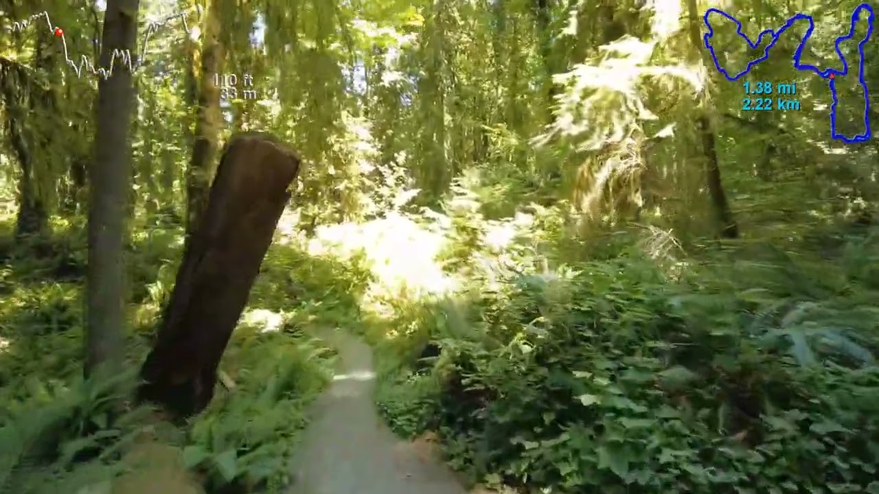 Squaxin Park, 4.6 Miles, 7.4 Kilometers | Virtual Trail Running | Treadmill Scenery