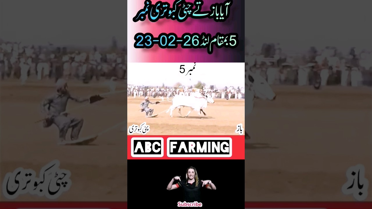 danda na jalsa| danda ne dor|Bail race 2022 | #bullrace2023
