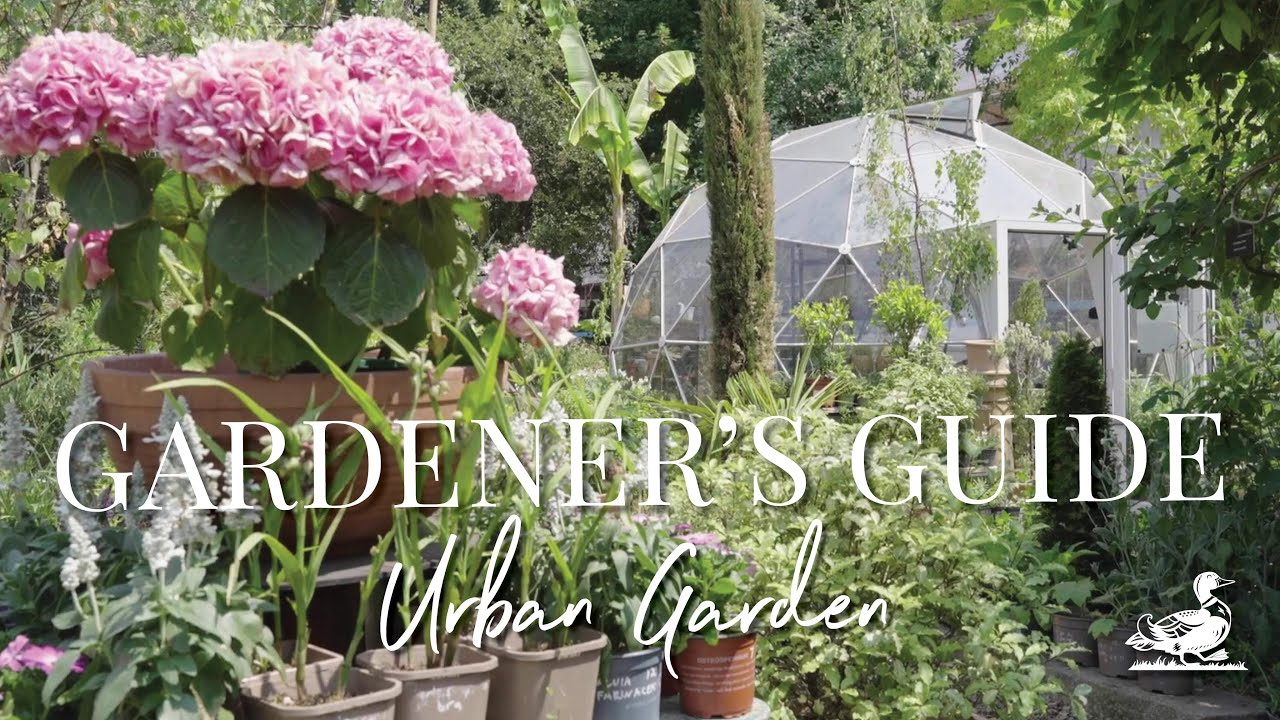 Urban Gardening: Tips From Walworth Garden, London | Country Living UK