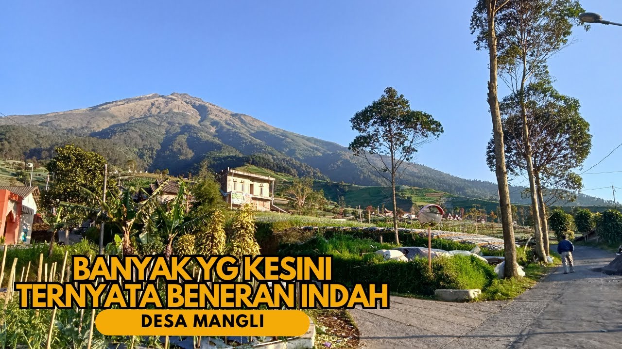 MENUJU DESA TERINDAH DI KALIANGKRIK MAGELANG | Desa Wisata Mangli di Lereng Gunung Sumbing