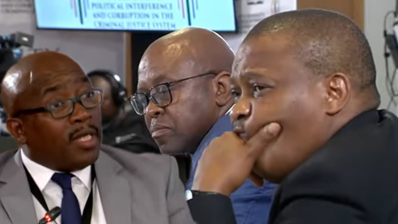 WATCH | Khumalo shuts down Ngoato: President ordered no charges, Witness F may never testify
