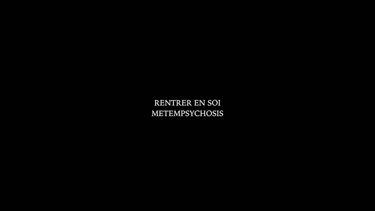 RENTRER EN SOI // METEMPSYCHOSIS