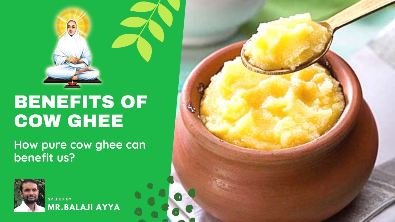 Benefits of Cow Ghee |  Teachings of Swami Vallalar | Speech by Mr.Balaji Ayya
