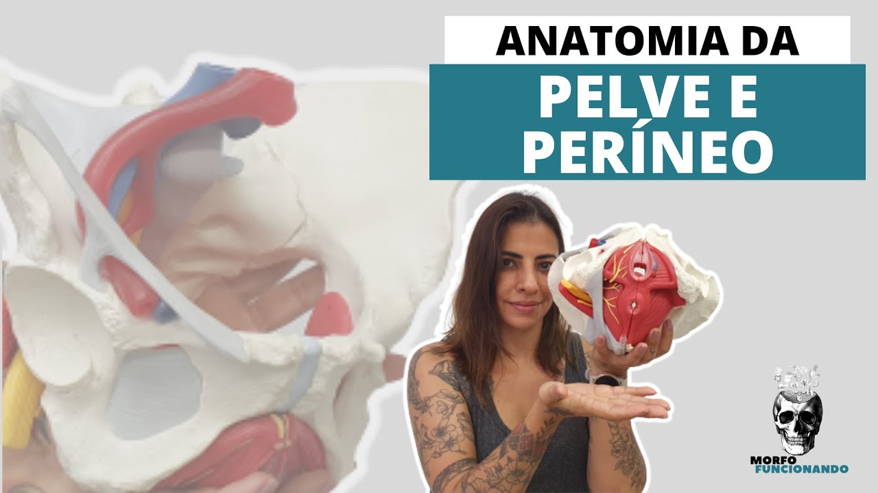 ANATOMIA DA PELVE E PERÍNEO (MUSCULOESQUELÉTICA)