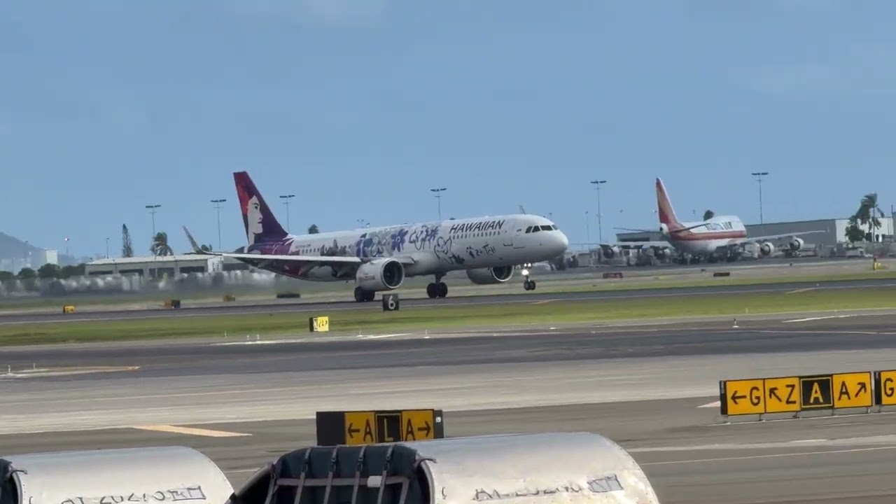 Hawaiian Airlines Lilo & Stitch