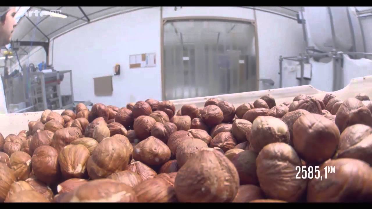L'incroyable voyage d'une noisette de pâte à tartiner