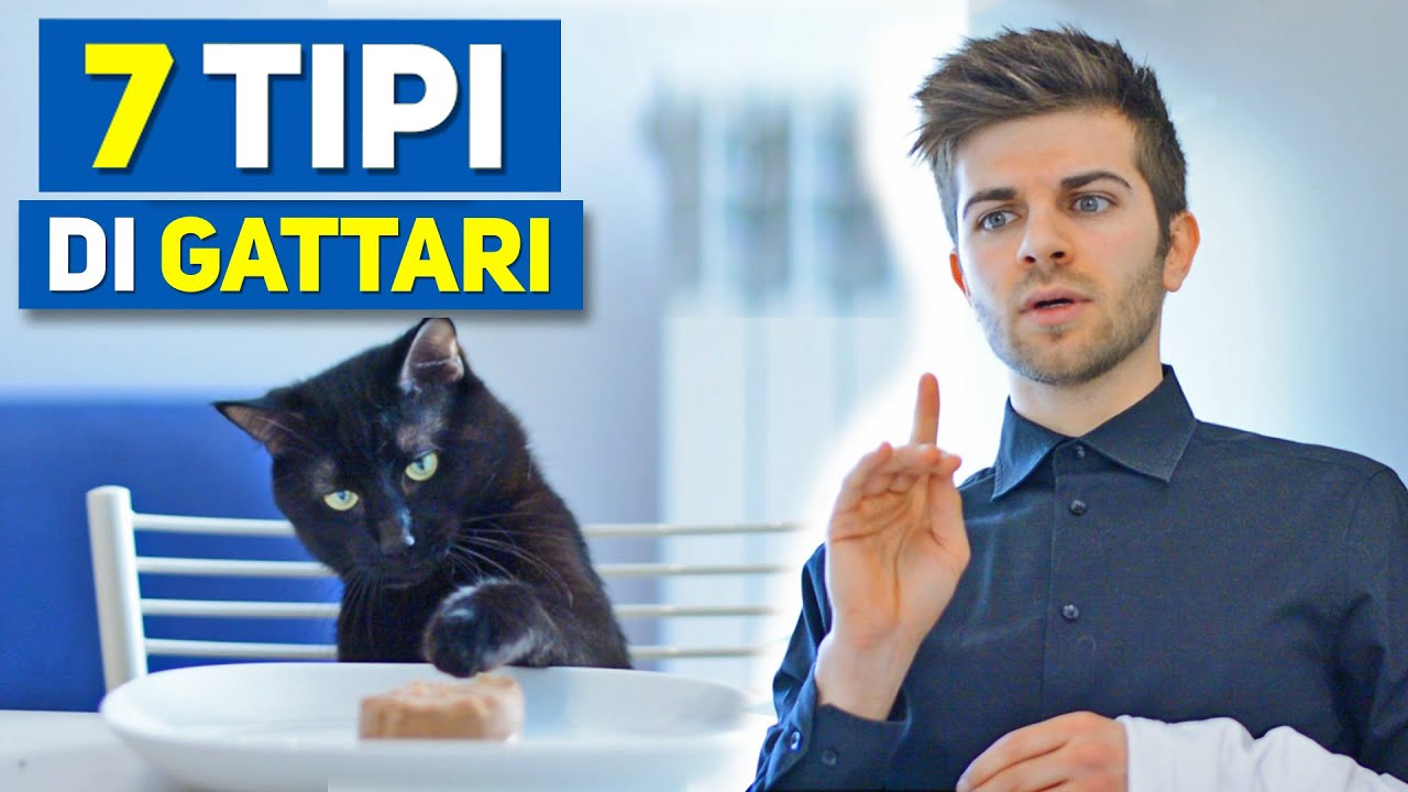 7 Tipi di gattari 🐱