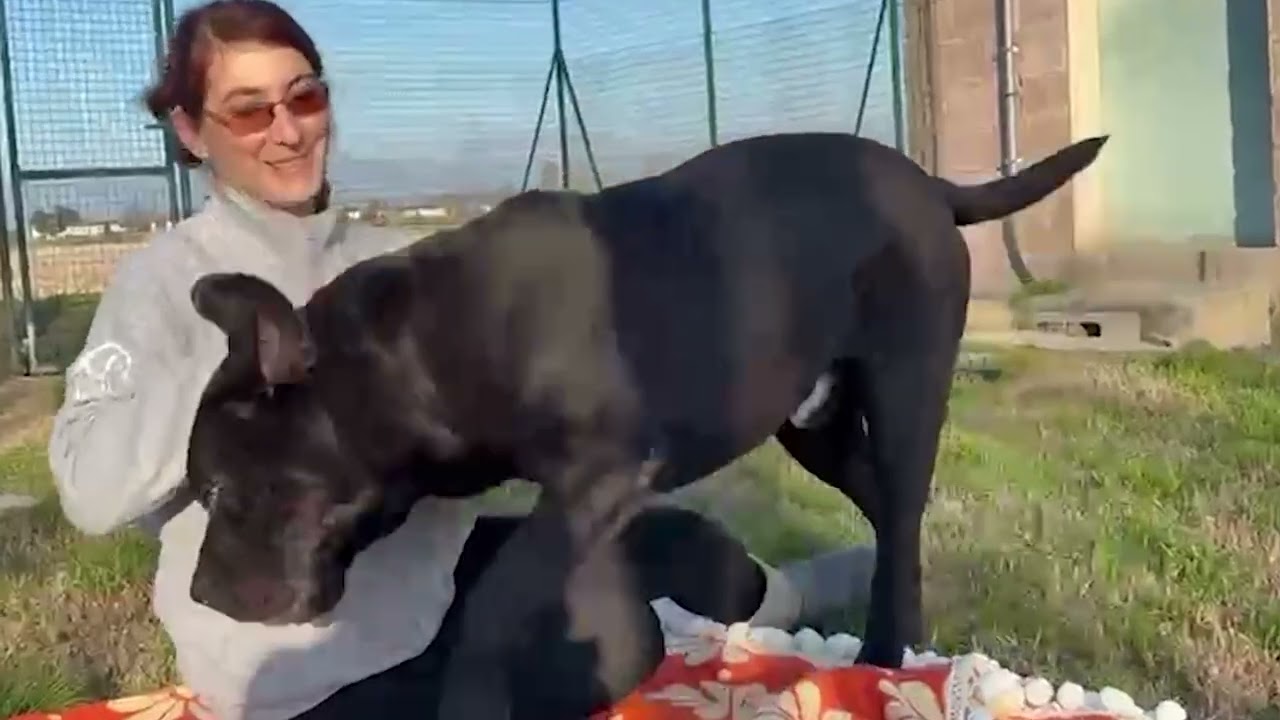 Non sappiamo cosa accadrà domani. Ma oggi Giuliano è felice.