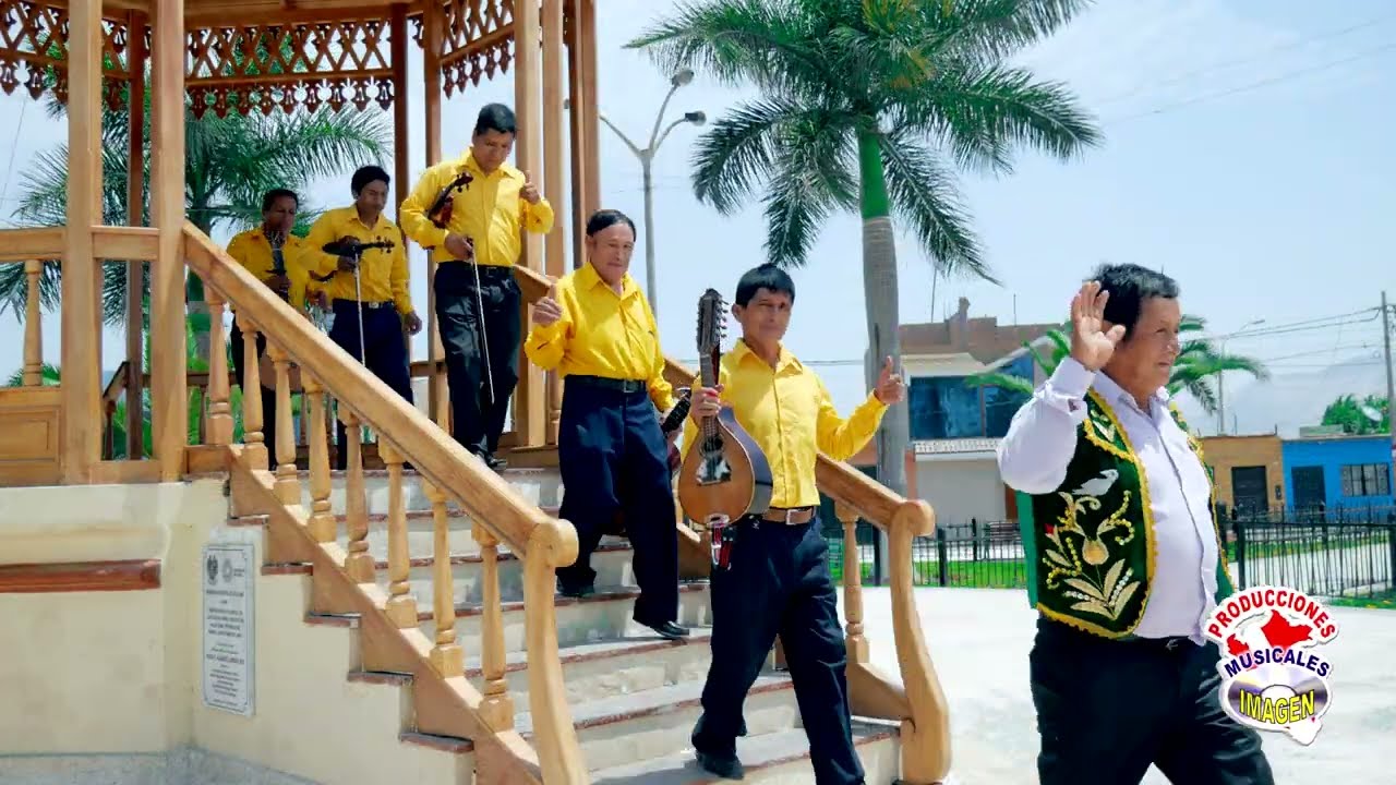 CHOLO CARIÑOSO  - DOCTORA