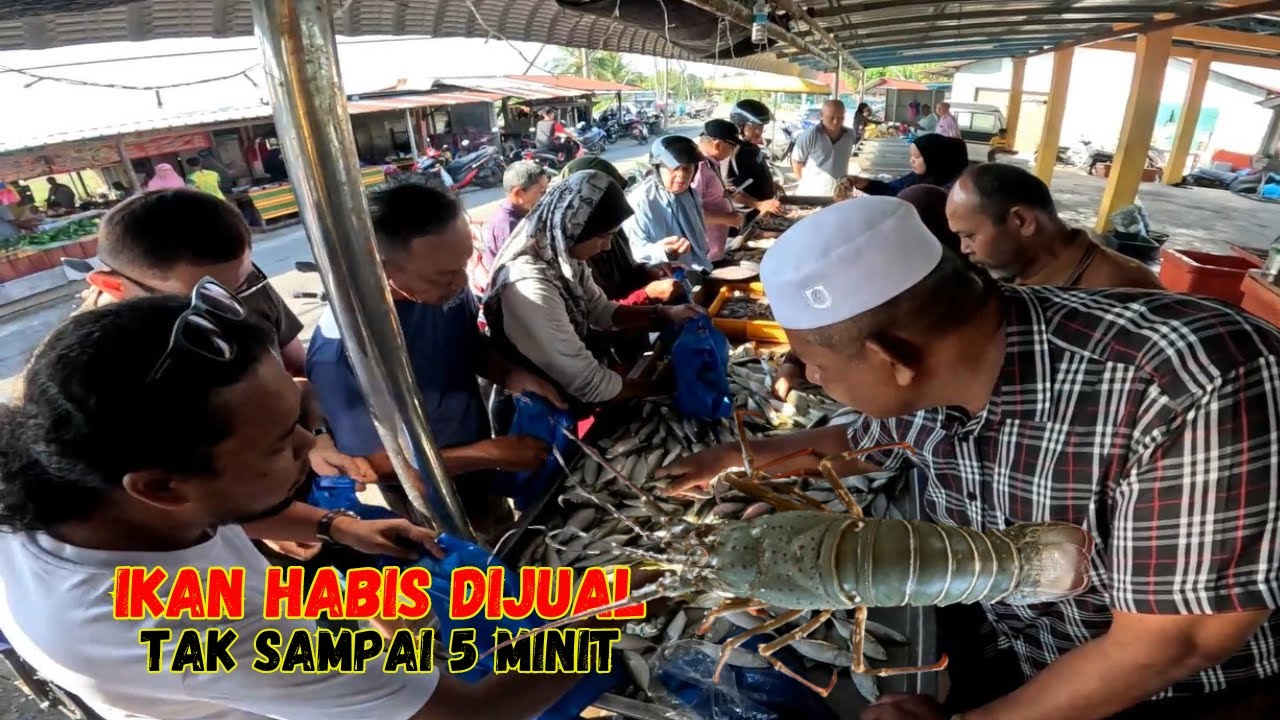 IKAN HABIS DIJUAL TAK SAMPAI 5 MINIT. LOBSTER SESAT DI PERAIRAN KUALA.