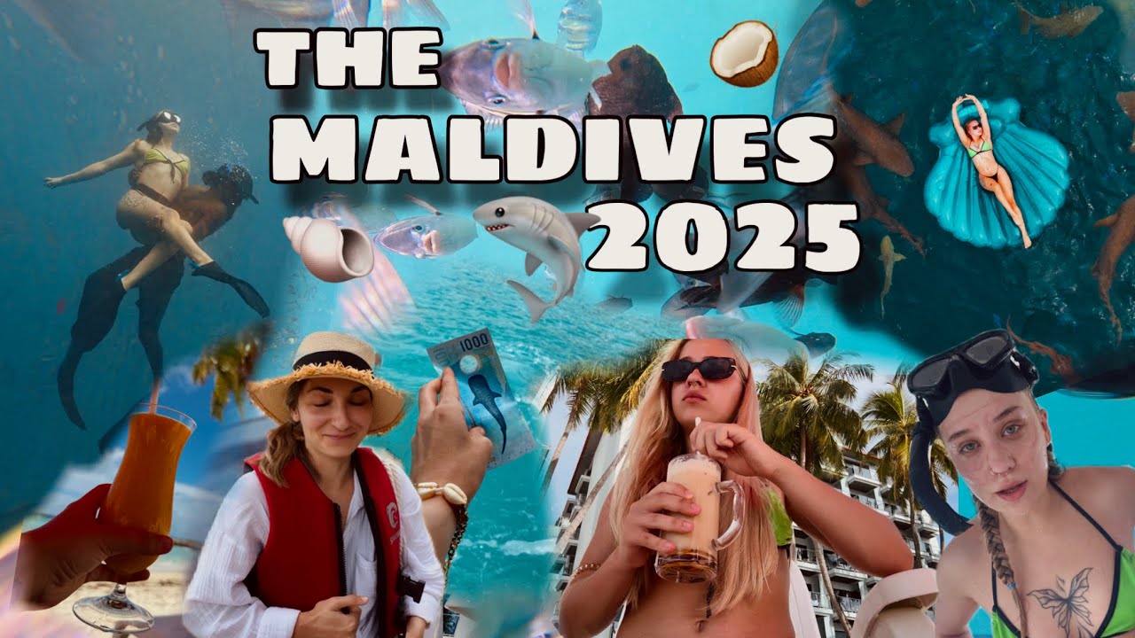 2. THE MALDIVES. Sharks & snorkelling 🤿 🦈🧜‍♀️