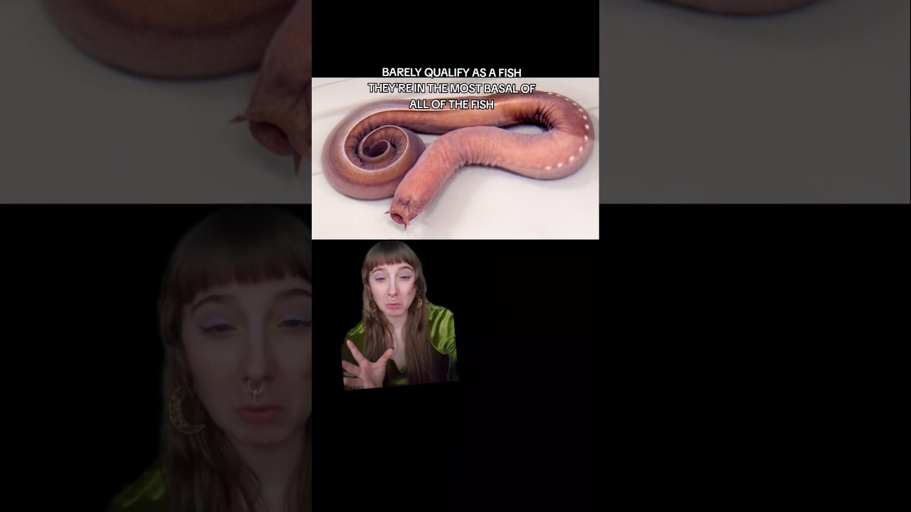 #морскаябиология