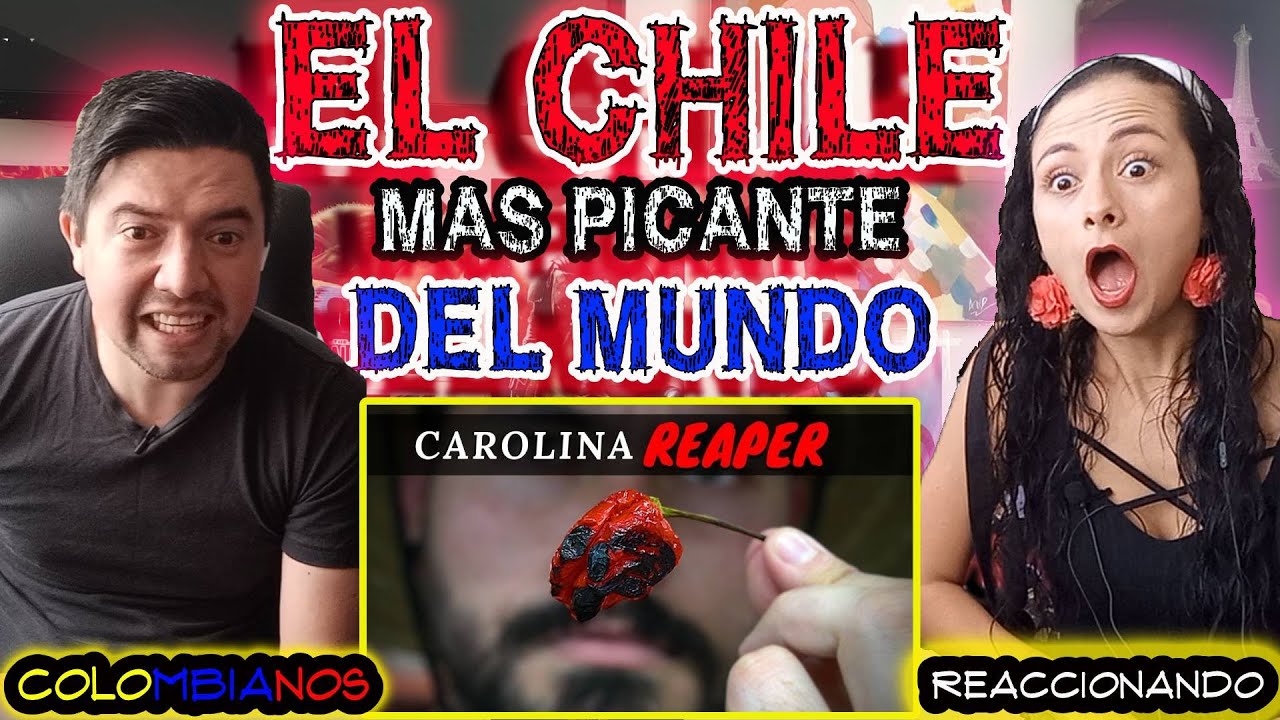 🇲🇽 REACCIÓN a DEGUSTANDO EL CHILE MÁS PICANTE DEL MUNDO 🌶️ LA CAPITAL 😱😱