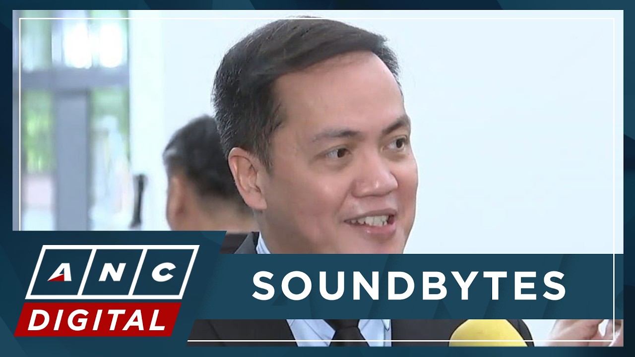 Ligutan: Complainants vs VP Sara pleased with Madriaga&rsquo;s revelations | ANC