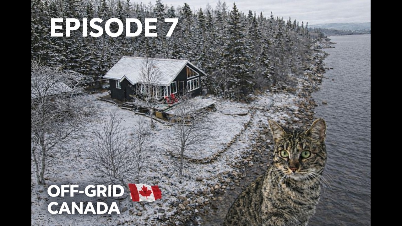 Bonus Trip E7 | Newfoundland | November 2025