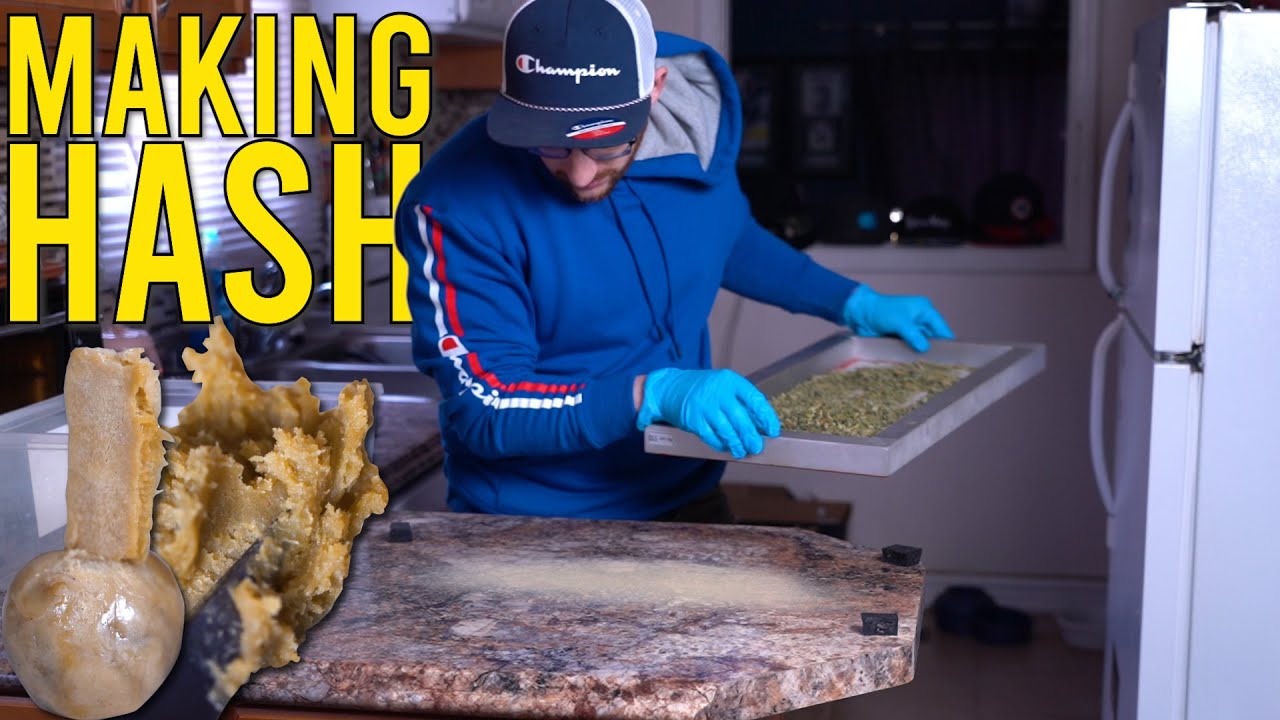 TRIMMERS BONUS: MAKING HASH FROM TRIM