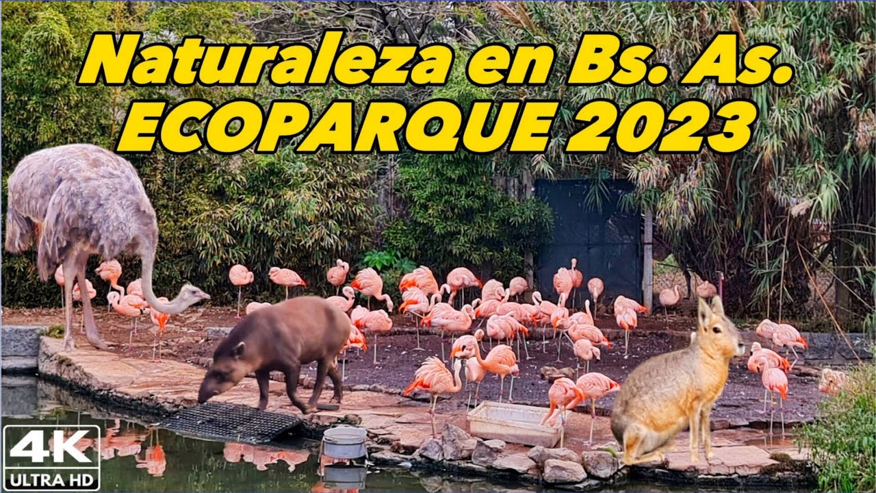 【4K】NATURALEZA PURA en🦒 BUENOS AIRES - ECOPARQUE, Ex-Zoológico, Walking Tour ARG