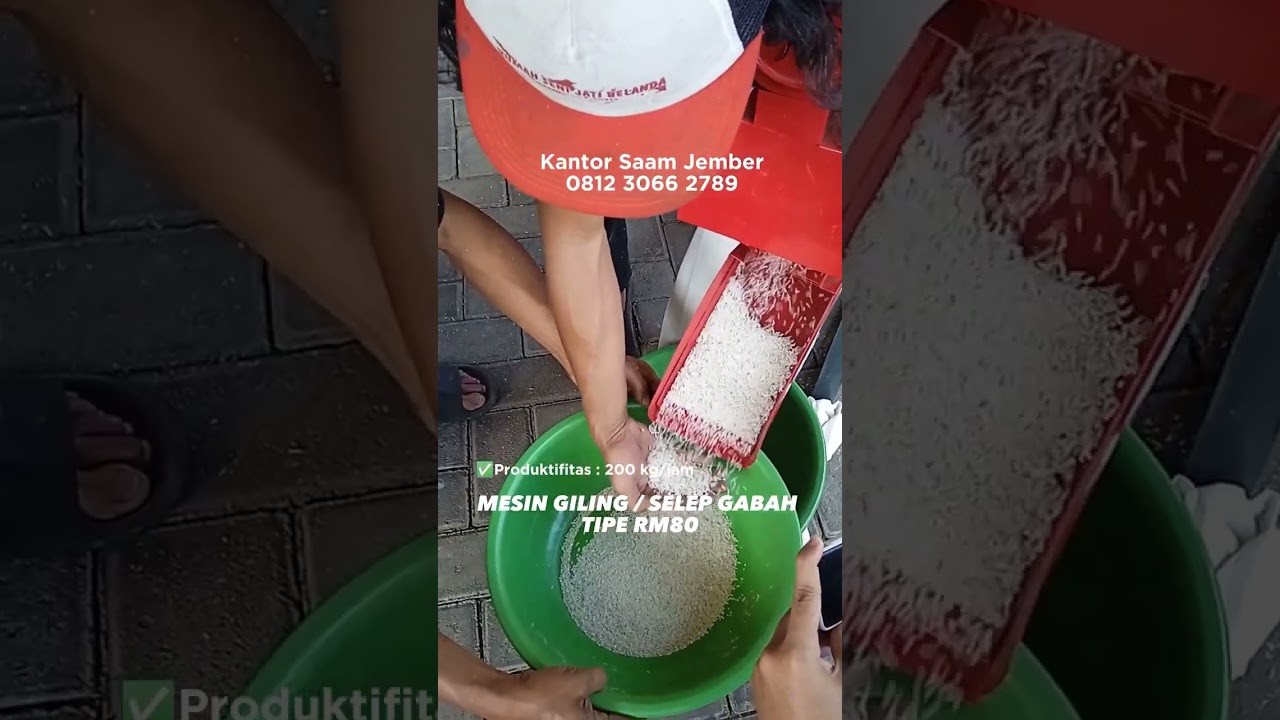 Selep Padi Mini Tipe RM80 - Rp 2,25 juta #saamjember #seleppadikeliling #seleppadi