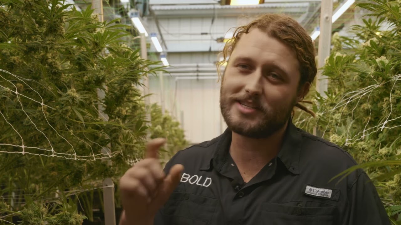 Arkansans Need to Know that Cannabis Cultivation is Agriculture | Inside BOLD | Roots and Reefer
