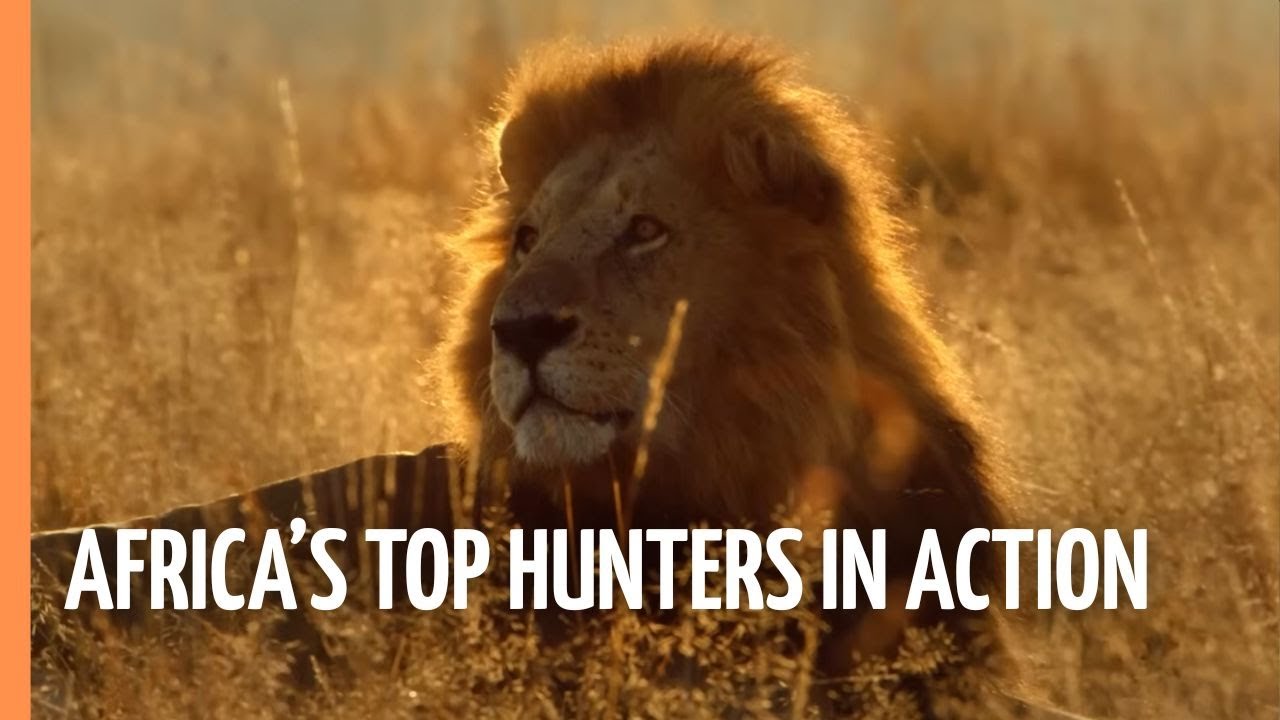 Masters of the Dark - Africa&rsquo;s Top Hunters in Action | Full Documentary