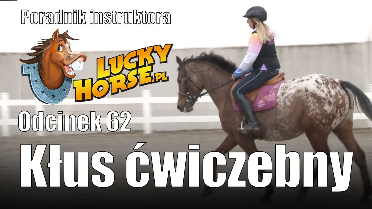 Porady LuckyHorse.pl - odc.62 - Kłus ćwiczebny