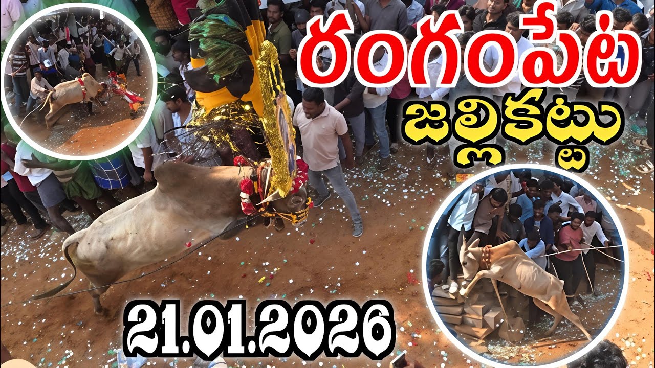 రంగంపేట పశువుల పండగ 🔥 21.01.2026🔥Rangampeta Jallikattu Full Video