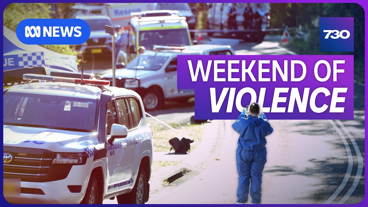 The concerning pattern emerging around domestic violence in Australia | 7.30