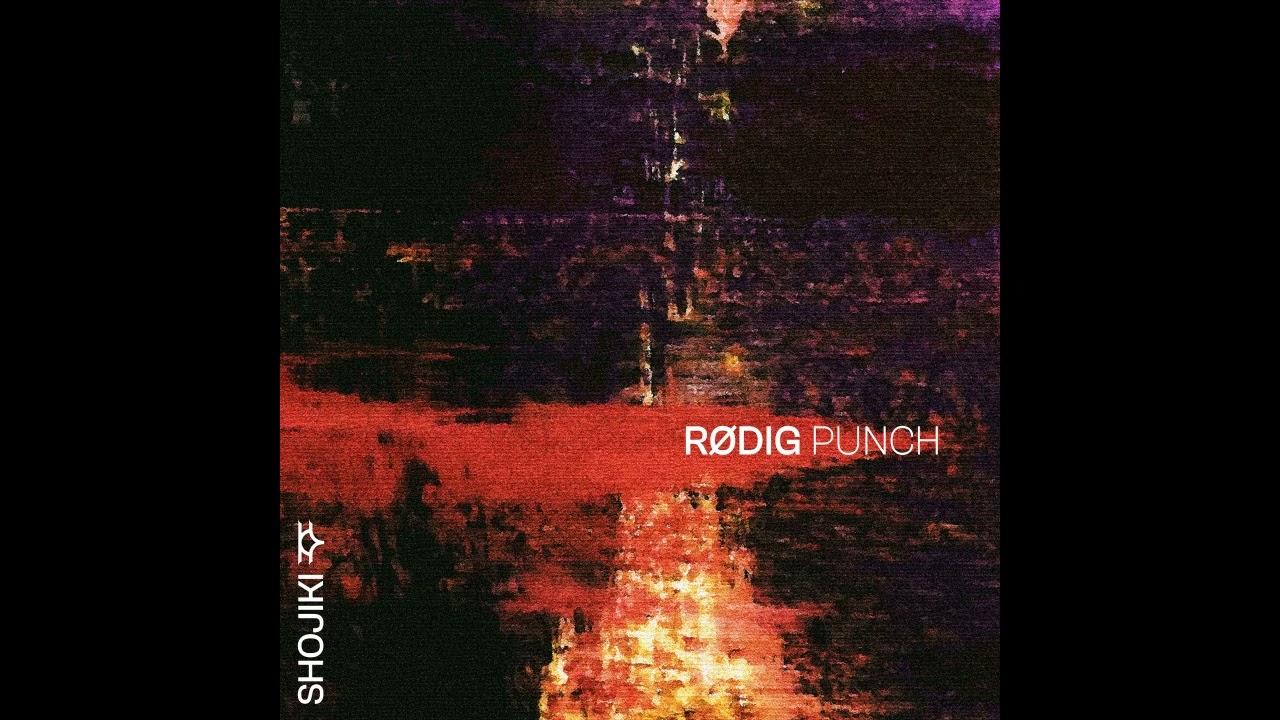 R&oslash;dig - Punching Holes