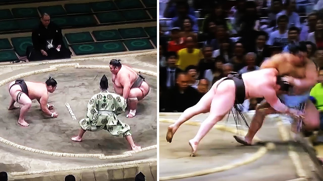 Ozzy Man Reviews: Sumo Wrestling