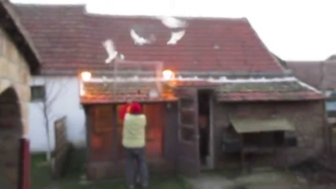 Engleski Tipleri spustanje seniora kod Colak Teje 09.03.2015god