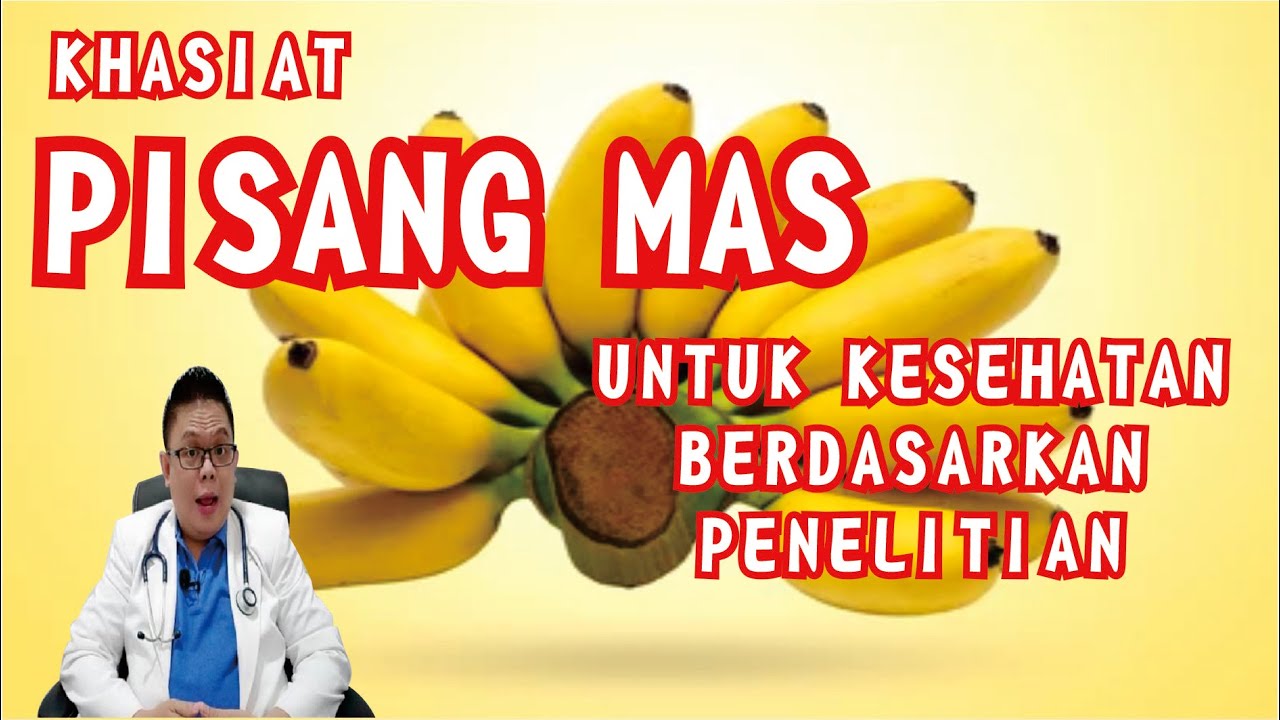 PISANG MAS.... BENTUKNYA KECIL, MANFAATNYA BESAR
