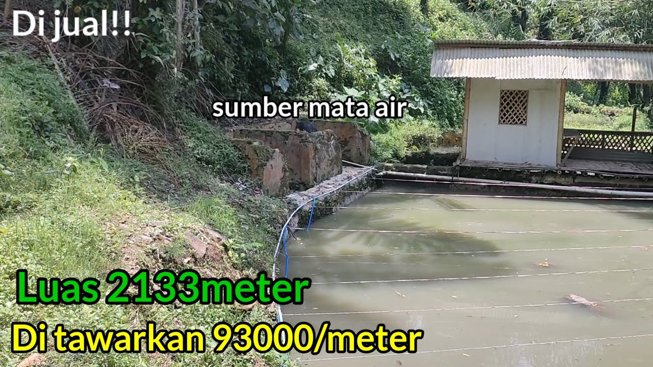 Wow Murah Permeter Cuma 93000 Luas 2133mtr Punya Sumber air sendiri