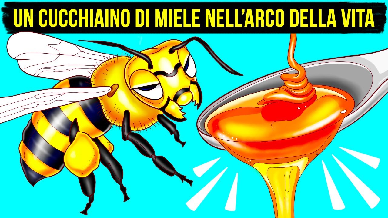 Come e Perch&eacute; le Api Producono il Miele (e Altri Fatti Curiosi sulle Api)